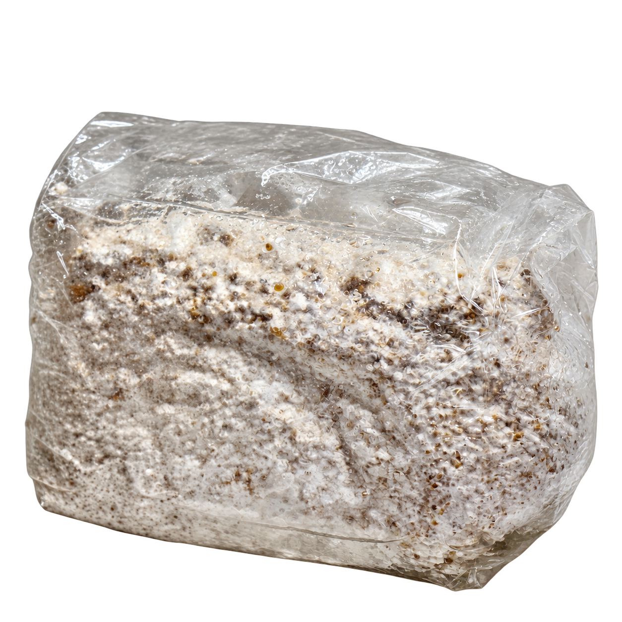 Colonized grow block
